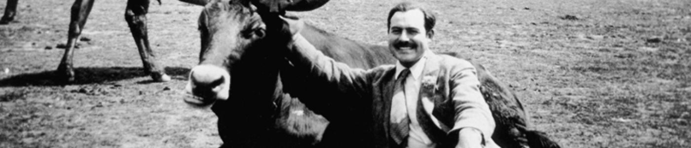 EH7976P  Ernest Hemingway with a bull, near Pamplona, Spain.
